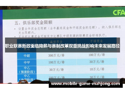 职业联赛新政面临降薪与赛制改革双重挑战影响未来发展路径