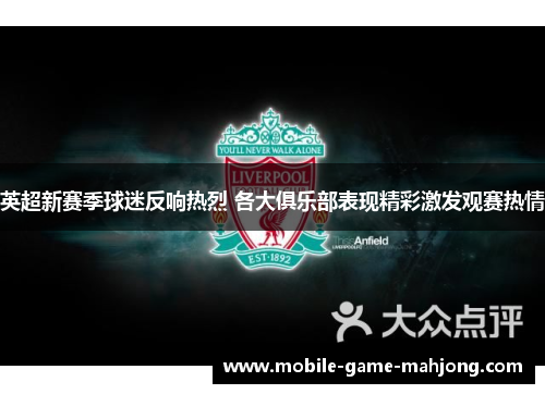 英超新赛季球迷反响热烈 各大俱乐部表现精彩激发观赛热情